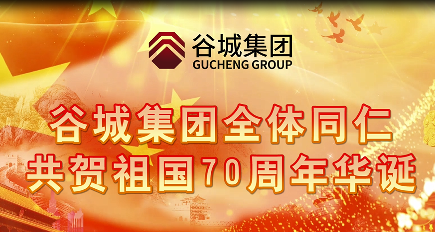 EVO视讯官方网站全体同仁共贺祖国70周年华诞