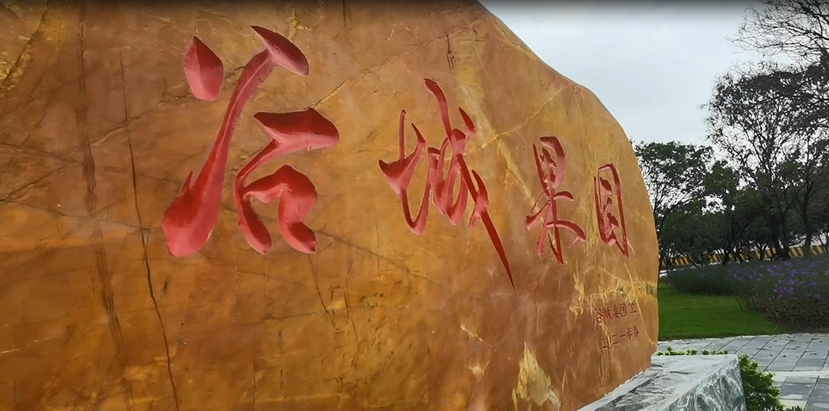 谷城矿业直播：走进“谷城果园”！